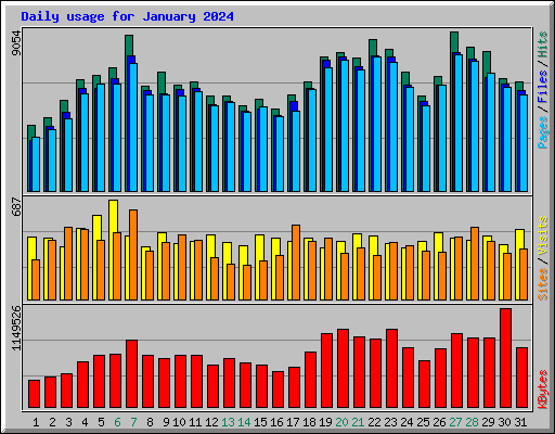 Daily usage for January 2024