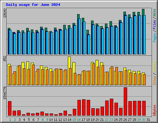 Daily usage for June 2024