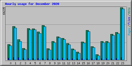 Hourly usage for December 2020