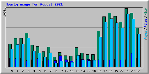 Hourly usage for August 2021