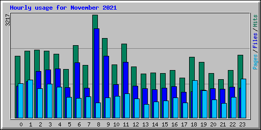 Hourly usage for November 2021