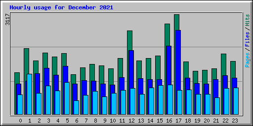 Hourly usage for December 2021