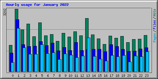 Hourly usage for January 2022