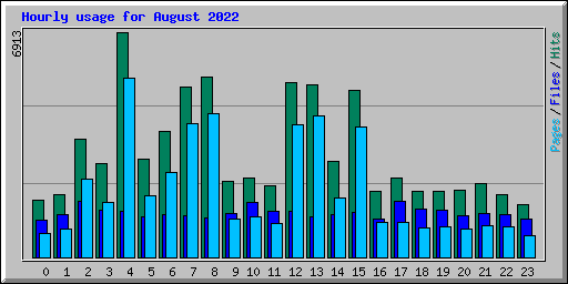 Hourly usage for August 2022