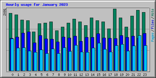 Hourly usage for January 2023