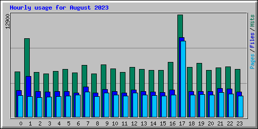 Hourly usage for August 2023