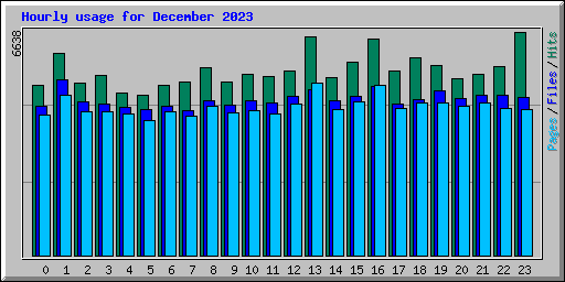 Hourly usage for December 2023