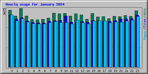 Hourly usage for January 2024