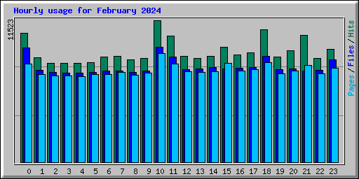 Hourly usage for February 2024