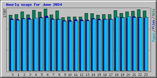 Hourly usage for June 2024